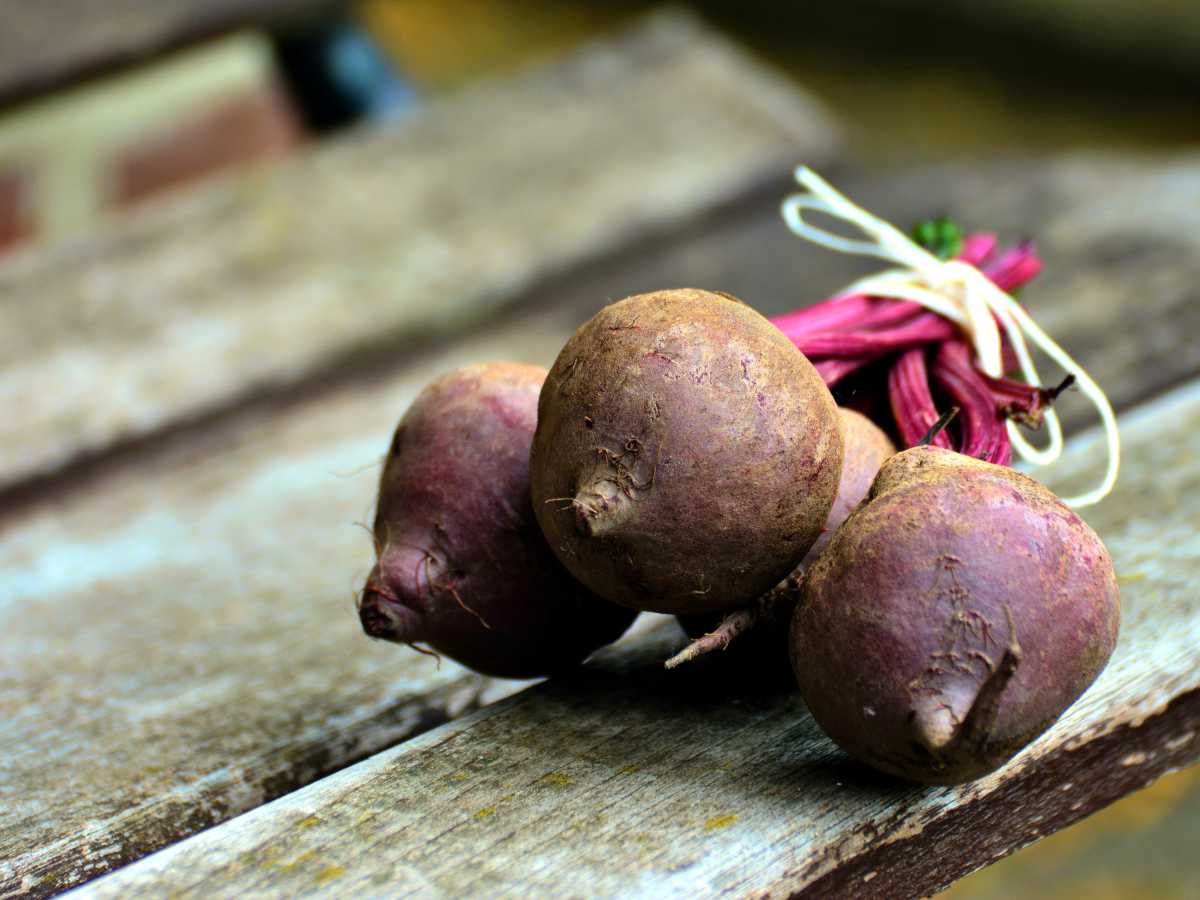 delicous red beet