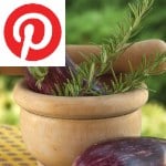 Picture related to Eggplant health benefits overlaid with the Pinterest logo.