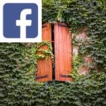 Picture related to Ivy overlaid with the Facebook logo.