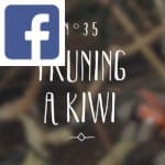 Picture related to Kiwi overlaid with the Facebook logo.