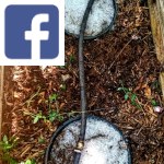 Picture related to Miniature aquifer projects overlaid with the Facebook logo.