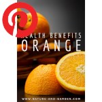 Picture related to Orange benefits overlaid with the Pinterest logo.
