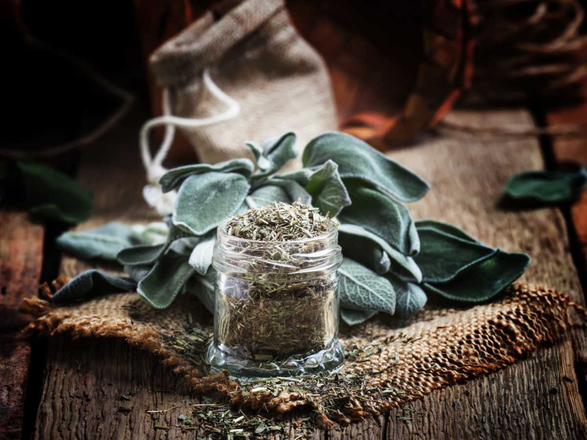 Sage benefits