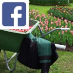 Picture related to Spring garden tasks overlaid with the Facebook logo.