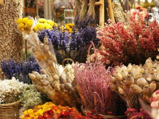 Best dried flowers