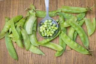 Snow pea pods and their contents gathered in a spoon