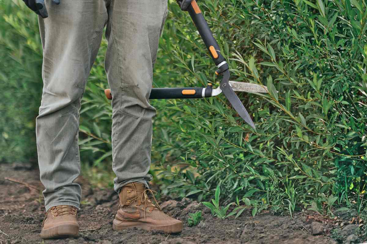 Man with hedge trimmer on standby