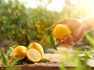 Benefits of lemon