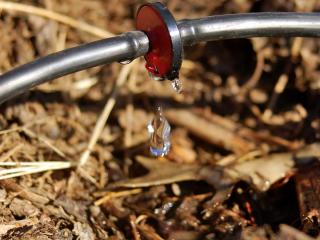 Summer irrigation techniques