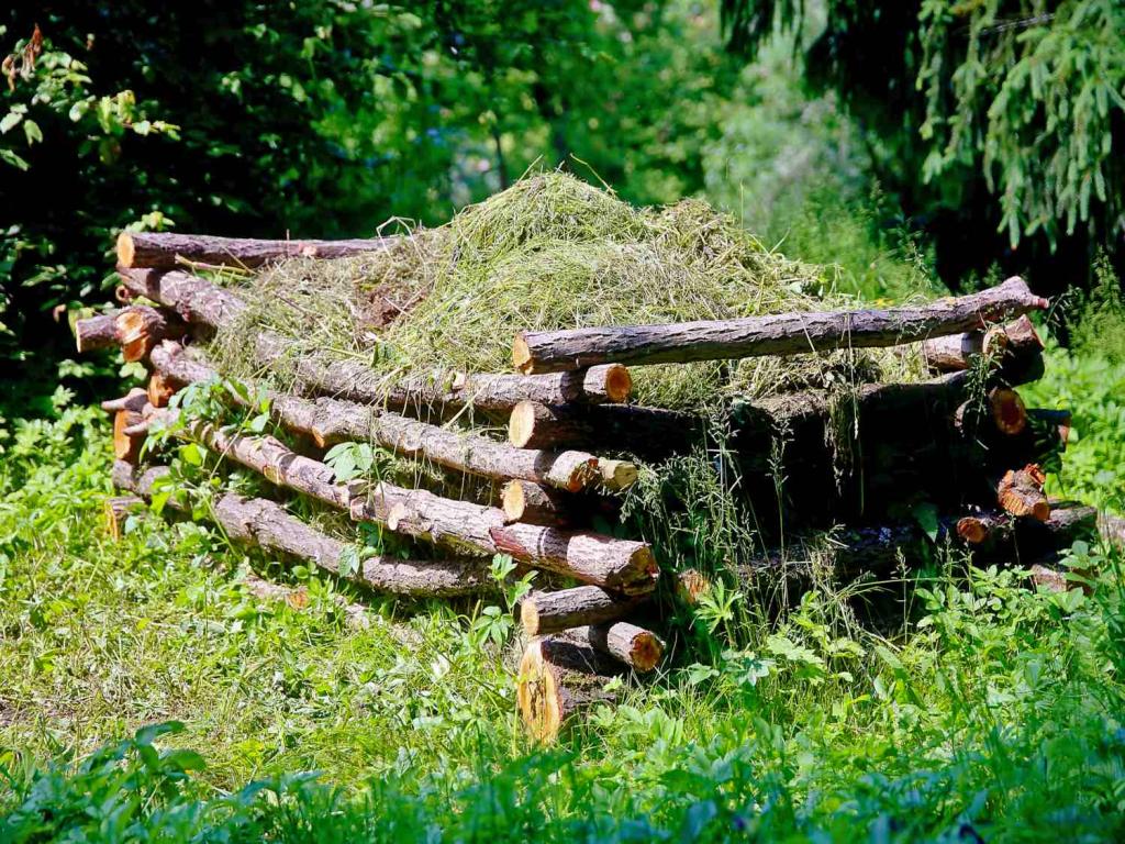 Grass trimmings in compost