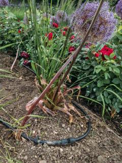 Set up irrigation systems