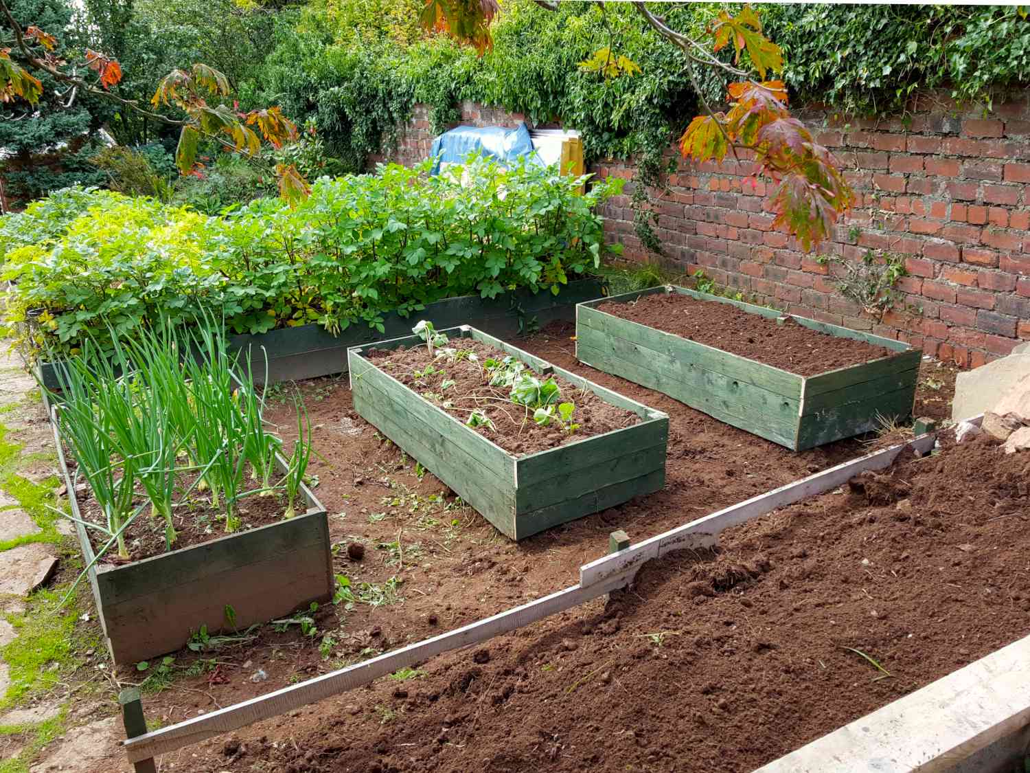 Raised garden layout