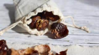 Soap nuts in a cloth pouch