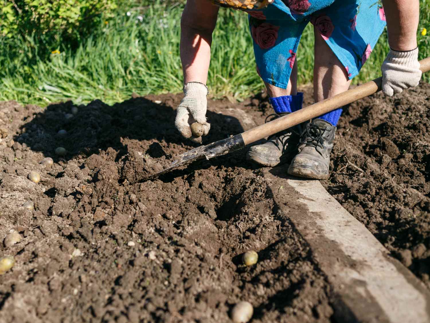 Sowing in a seed hole