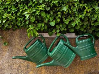 Watering cans