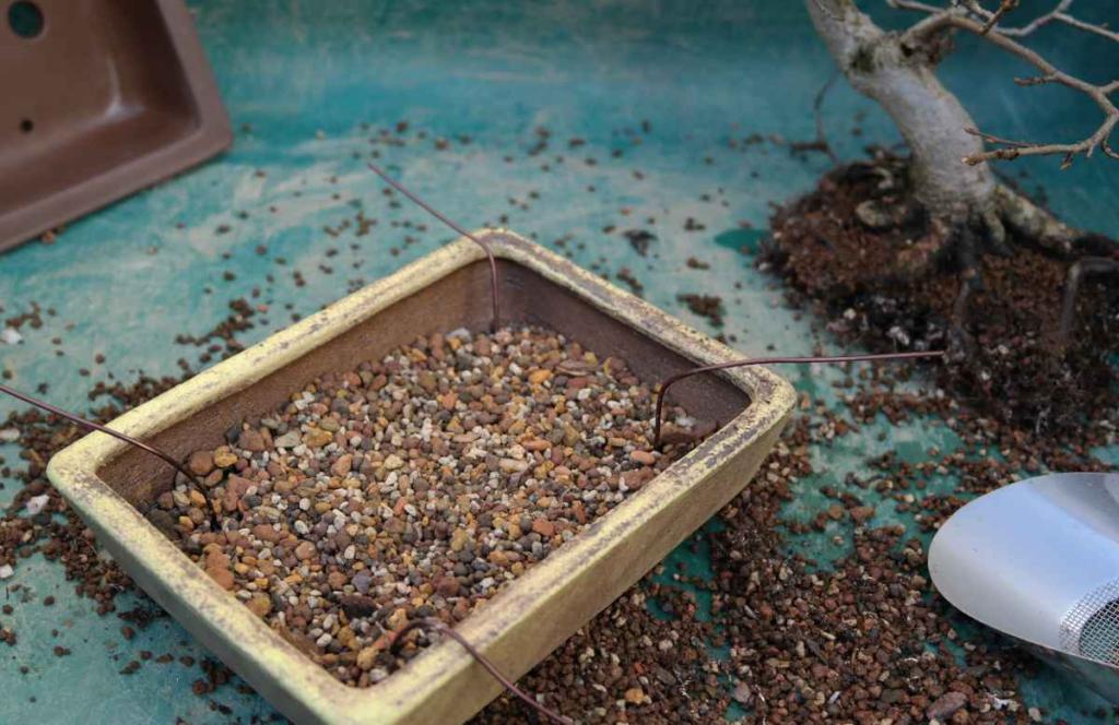 In the pot, you should install mesh wire, copper wire, and drainage gravel