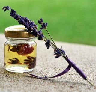 Infusing oil with lavender flowers