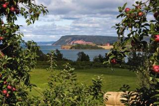 Garden plants for seaside oceanfront landscaping