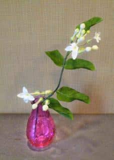 The fragrance of the stephanotis flower is similar to that of jasmine