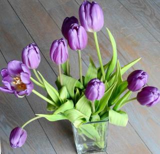 Clear vase with a dozen cut tulips arranged inside