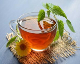 Nettle leaves in a teacup