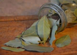 Bay laurel leaves spilling from a jar