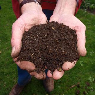 Two hands holding perfectly ripened compost