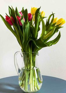 A tall vase with a handle and a half-dozen cut tulip flowers