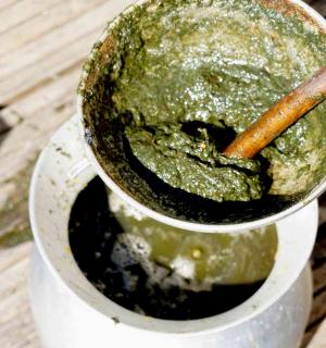 Pot with nettle tea mush to use to make soil healthier