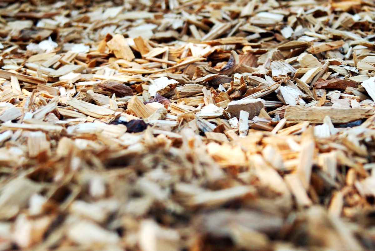 Mulch made from wood chips is among the most nutritious in the long run