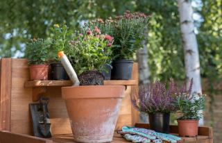Pots, tools and flowers