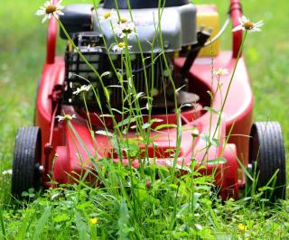 Mower cutting down an overgrown lawn