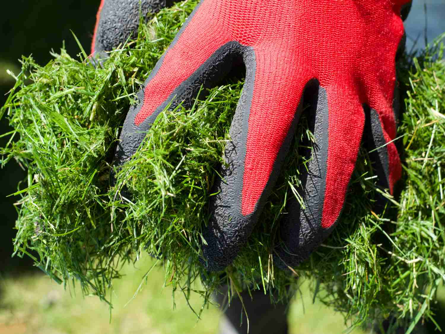 Lawn trimmings mulch