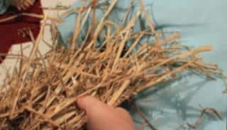 Straw can be any kind of dried plant material