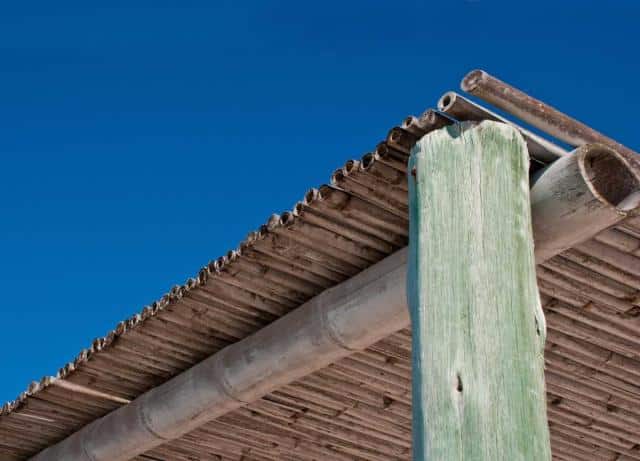 Instead of plants, a simple bamboo mat will also provide welcome shade