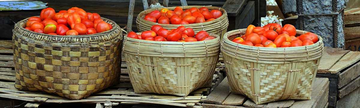 Baskets of tomatoes, four
