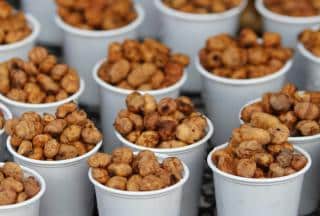 Cups with chufa groundnuts piled inside