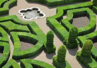 Topiary, like these hedges and pillars, are a key feature of French garden designs
