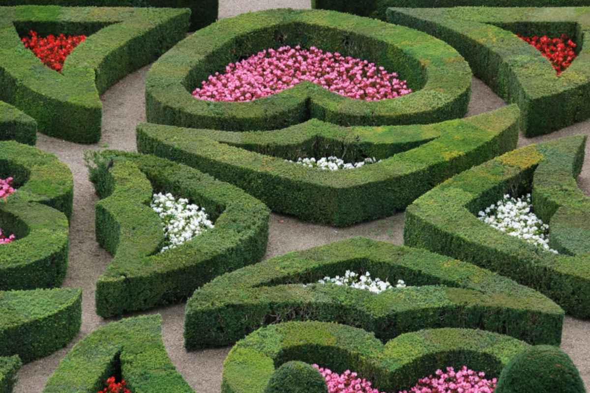 French garden designs include patterns, hedges, and much more