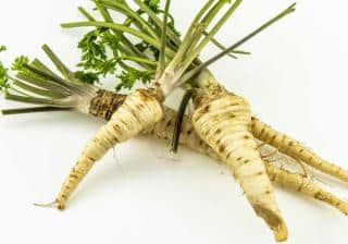 Hamburg parsley is another name for root parsley