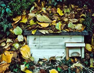Hedgehog shelter made from wood planks and leaves
