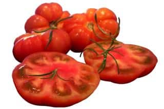 Marmande tomatoes
