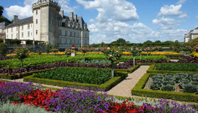 Even vegetable patches can be turned into ornamental patterns