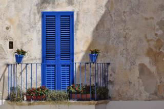 Balcony with blue shutters and many plants