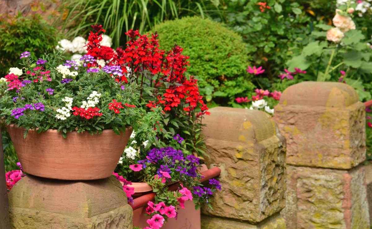 Pots with many flowers set close together to maximize greenery and blooming in tiny spaces