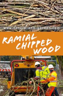 How to use ramial chipped wood