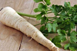 Root parsley cooking