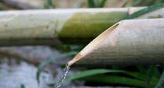 Water dripping from a bamboo tube