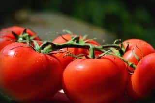 Saint Pierre tomato