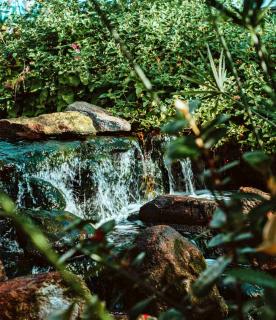 Move earth around to create ponds, brooks and springs